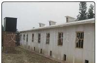 河北廊坊瑞豐保溫雞舍 防火保溫、耐酸堿，打造現代化養殖新標桿